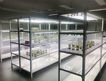 鋼木實驗臺與全鋼實驗臺有什么區(qū)別？